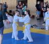 judosafari 4